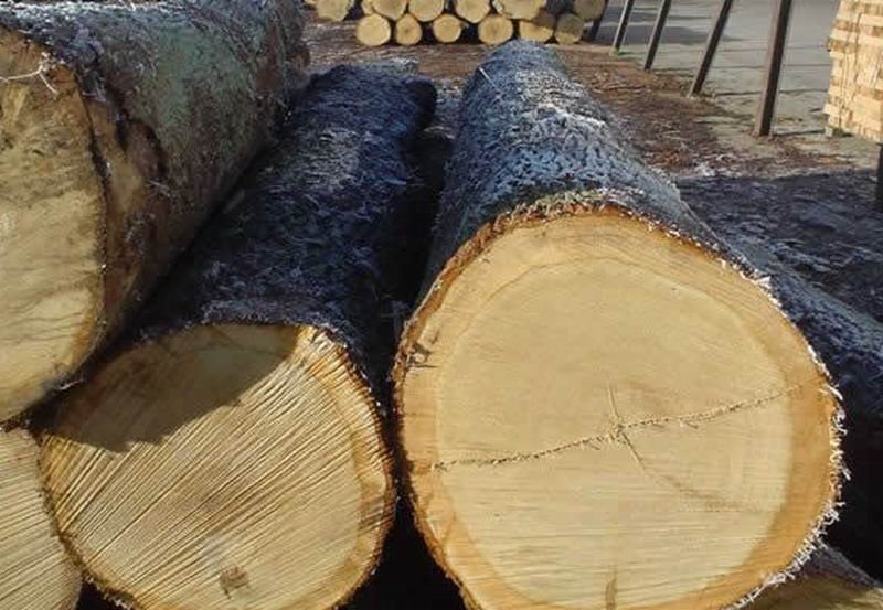 white-oak