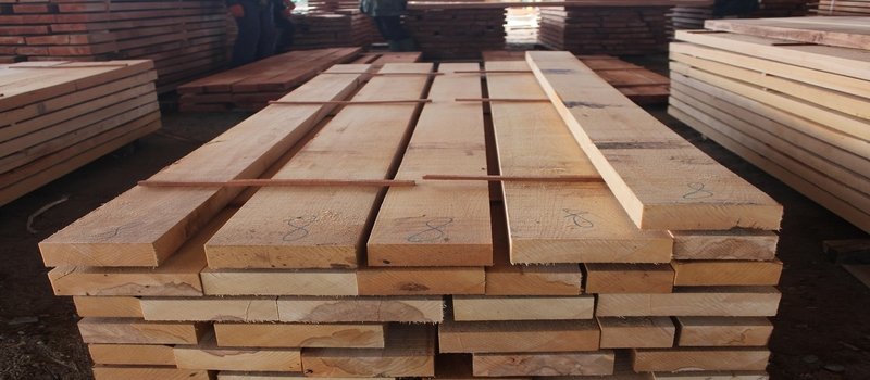 douglas fir