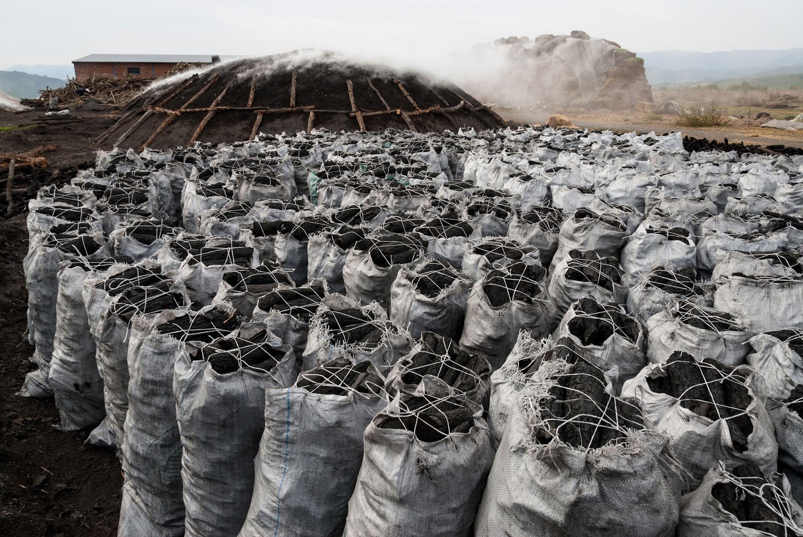 wood-pellet